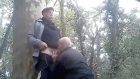 Two horny guys fuck with two adultsies