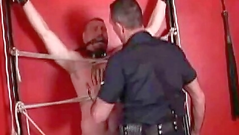 She's going to get purrs by a friend