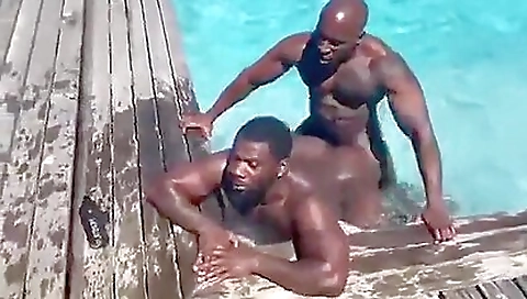 Horny couple fuck each other on cam