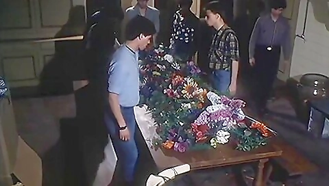 Sexy chick gets fucked in all holes