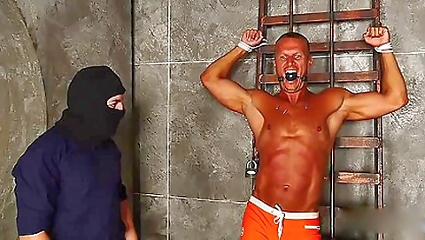 Super-hot pryce for sex